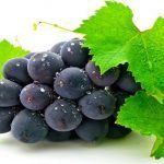 grappe-de-raisin, -les-feuilles-de-vigne-163399
